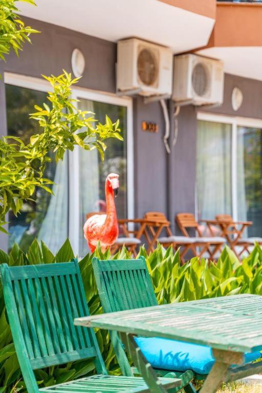 Gizlikoyhotel Antalya Exteriér fotografie